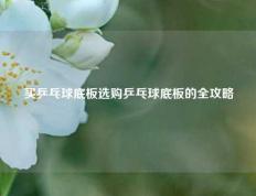 买乒乓球底板选购乒乓球底板的全攻略