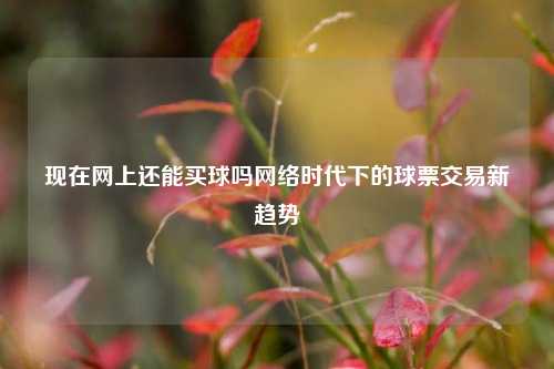现在网上还能买球吗网络时代下的球票交易新趋势