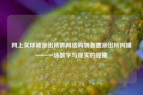 网上买球被派出所抓网络购物者遭派出所拘捕——一场数字与现实的碰撞