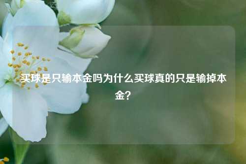 买球是只输本金吗为什么买球真的只是输掉本金？