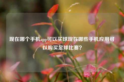 现在哪个手机app可以买球现在哪些手机应用可以购买足球比赛？