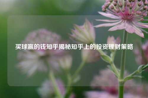买球赢的钱知乎揭秘知乎上的投资理财策略
