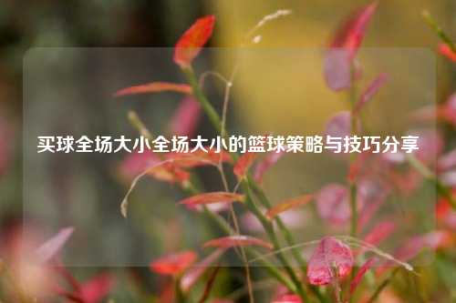 买球全场大小全场大小的篮球策略与技巧分享