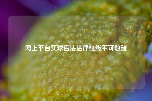 网上平台买球违法法律红线不可触碰