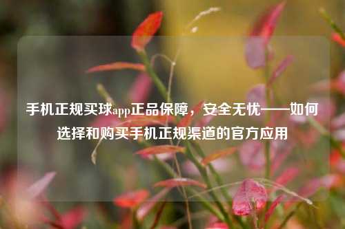 手机正规买球app正品保障，安全无忧——如何选择和购买手机正规渠道的官方应用