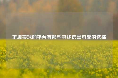 正规买球的平台有那些寻找信誉可靠的选择