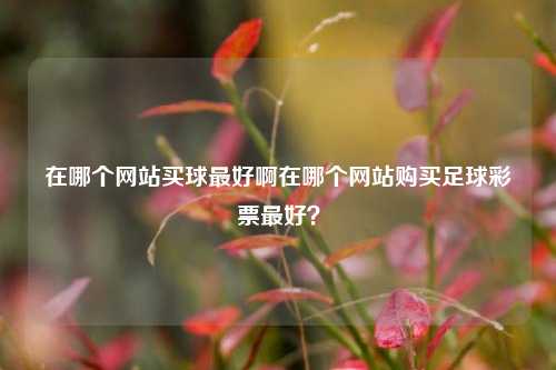 在哪个网站买球最好啊在哪个网站购买足球彩票最好？