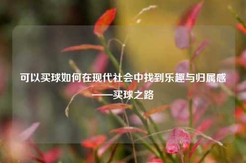 可以买球如何在现代社会中找到乐趣与归属感——买球之路