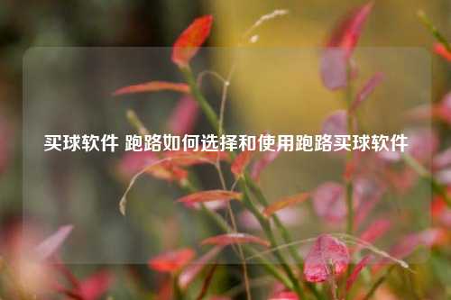 买球软件 跑路如何选择和使用跑路买球软件