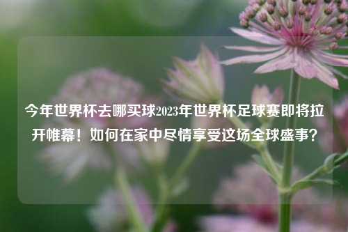今年世界杯去哪买球2023年世界杯足球赛即将拉开帷幕！如何在家中尽情享受这场全球盛事？
