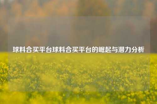 球料合买平台球料合买平台的崛起与潜力分析