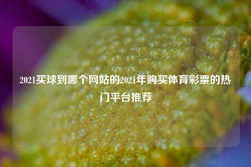 2021买球到哪个网站的2021年购买体育彩票的热门平台推荐