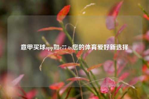 意甲买球app如c77 tv您的体育爱好新选择