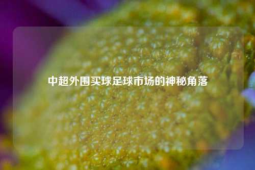 中超外围买球足球市场的神秘角落