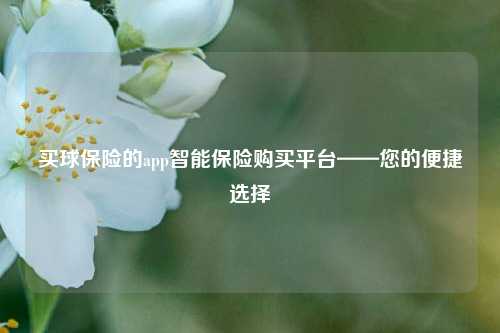 买球保险的app智能保险购买平台——您的便捷选择