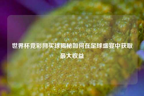 世界杯竞彩网买球揭秘如何在足球盛宴中获取最大收益