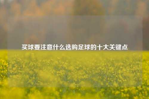 买球要注意什么选购足球的十大关键点