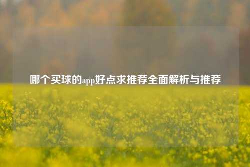 哪个买球的app好点求推荐全面解析与推荐