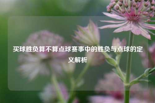 买球胜负算不算点球赛事中的胜负与点球的定义解析