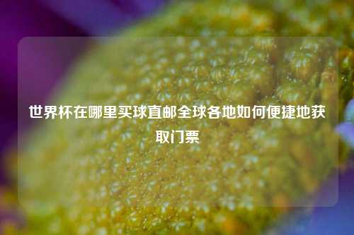 世界杯在哪里买球直邮全球各地如何便捷地获取门票