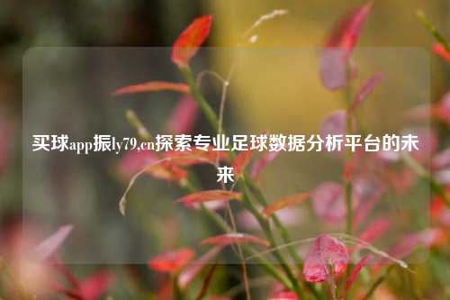 买球app振ly79,cn探索专业足球数据分析平台的未来