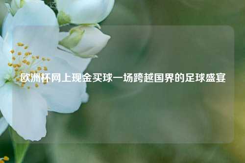 欧洲杯网上现金买球一场跨越国界的足球盛宴