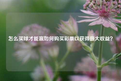 怎么买球才能赢如何购买彩票以获得最大收益？