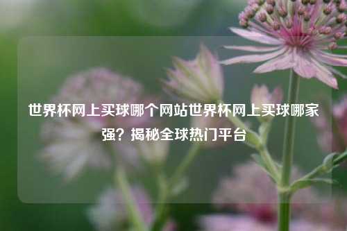 世界杯网上买球哪个网站世界杯网上买球哪家强？揭秘全球热门平台