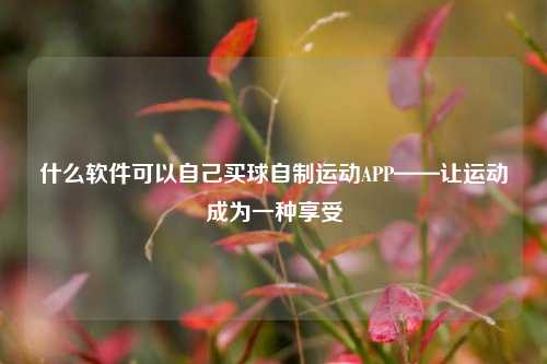 什么软件可以自己买球自制运动APP——让运动成为一种享受