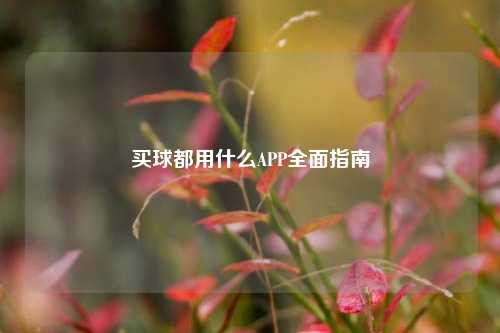 买球都用什么APP全面指南
