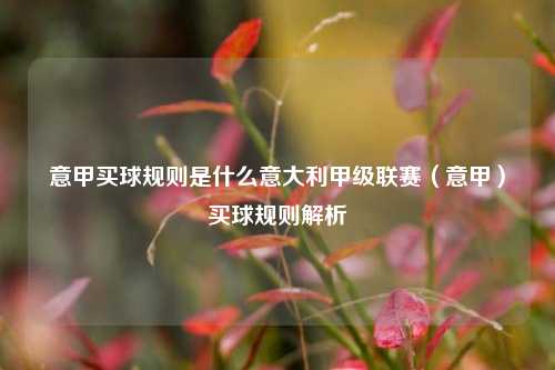 意甲买球规则是什么意大利甲级联赛（意甲）买球规则解析