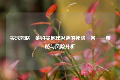 买球死路一条购买足球彩票的死路一条——策略与风险分析