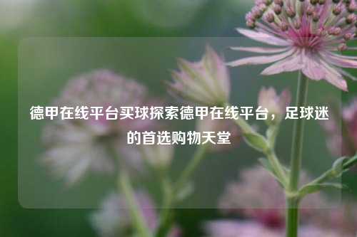 德甲在线平台买球探索德甲在线平台，足球迷的首选购物天堂