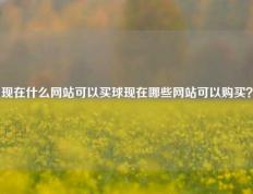现在什么网站可以买球现在哪些网站可以购买？