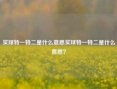 买球特一特二是什么意思买球特一特二是什么意思？