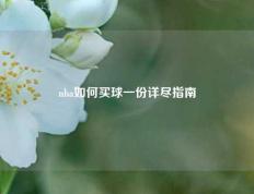 nba如何买球一份详尽指南