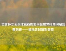 世界杯怎么买球赢钱的如何在世界杯期间赌到赚到钱——揭秘足球博彩策略