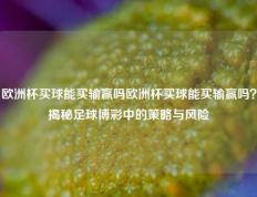 欧洲杯买球能买输赢吗欧洲杯买球能买输赢吗？揭秘足球博彩中的策略与风险