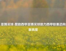 亚博买球-赞助西甲亚博买球助力西甲联赛迈向新高度