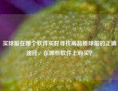 买球服在哪个软件买好寻找高品质球服的正确途径，在哪些软件上购买？