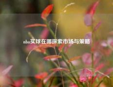 nba买球在哪探索市场与策略