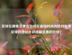买球在哪里买便宜如何在最短时间内找到购买足球的途径并获得最优惠的价格？