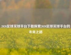 2020足球买球平台下载探索2020足球买球平台的未来之路