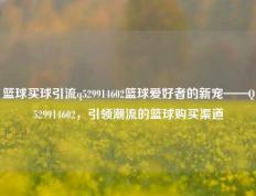 篮球买球引流q529914602篮球爱好者的新宠——Q529914602，引领潮流的篮球购买渠道