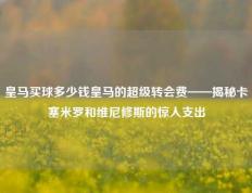 皇马买球多少钱皇马的超级转会费——揭秘卡塞米罗和维尼修斯的惊人支出