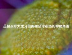 英超买球大比分倍揭秘足球市场的神秘角落