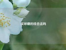 买球赚的钱合法吗