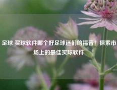 足球 买球软件哪个好足球迷们的福音！探索市场上的最佳买球软件