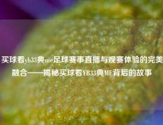 买球看yb33典me足球赛事直播与观赛体验的完美融合——揭秘买球看YB33典ME背后的故事