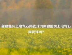 新疆能买上电气石陶瓷球吗新疆能买上电气石陶瓷球吗？
